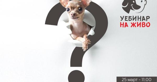 През тази година Purina в партньорство с 50 ветеринарни клиники в