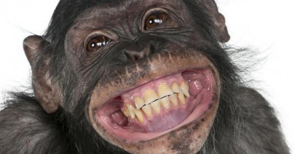 Не е тайна че животът може да бъде доста по лесен