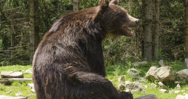 Един много стар човек след като загубил жена си и