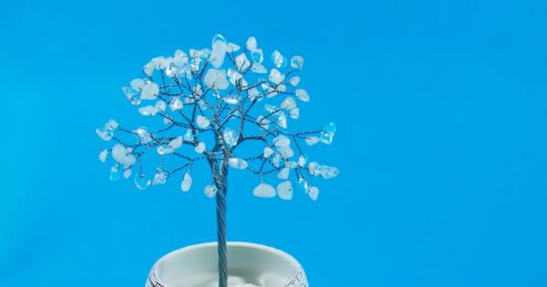 Зимата е вече тук а Коледа тропа на вратата Време