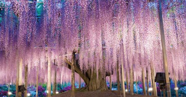 Пролетта е в разгара си и дори времето да е