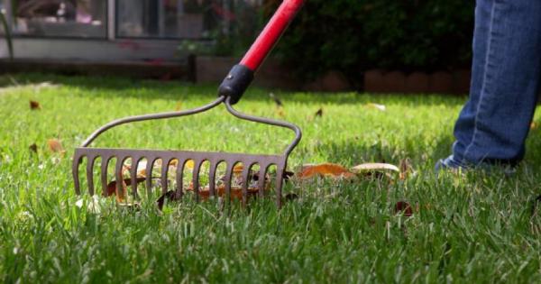 Различните зодиакални знаци настъпват греблото по свой собствен начин Ето