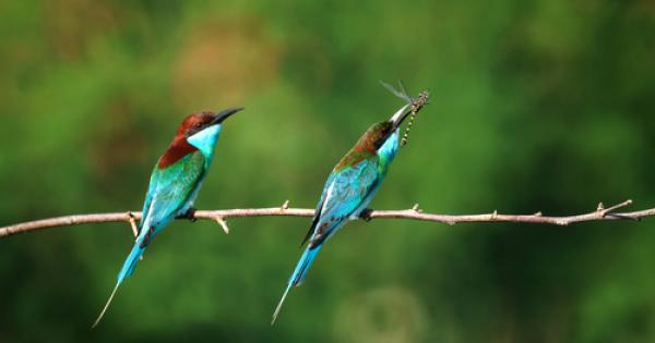 Сексуалните стереотипи са навсякъде около нас от начина по