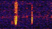 В най-отдалечената точка на Земята учените чуха странен свръхнискочестотен звук