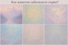 Кое животно видяхте първо – това говори много за вас