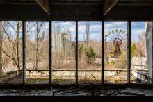 Чернобил: как дивата природа превзе радиоактивната зона