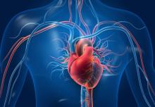 Рискът от смърт от сърдечна недостатъчност е по-висок при заклетите ергени