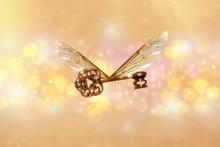 4 неща, които придават смисъл на живота ни