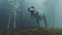 Колко умен е бил Тиранозавър рекс?