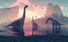 Динозаврите процъфтявали цели 165 милиона години заради бързия си растеж