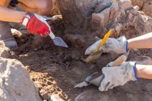 Древни зъби от Сибир доказват, че чумата е съществувала преди повече от 5500 години