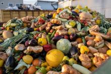 Цената на изхвърлената храна (подкаст)