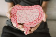 Ритмичните движения на червата може да обяснят синхронизацията в мозъка