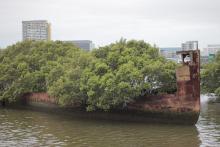 10 места, завоювани обратно от природата 