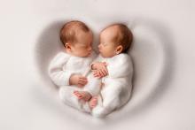 Близнаци по поръчка: възможно ли е