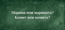 Коя е правилната форма на тези две любопитни думи
