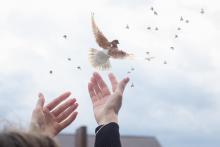 Прощавам и (не) забравям