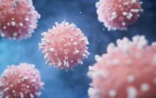 Препрограмирани Т-клетки предлагат нов подход в лечението на автоимунни заболявания