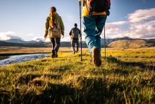 Виц: Депутати са на разходка в планината