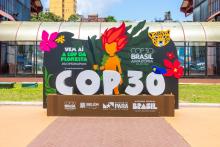 COP30: Големи обещания, малък напредък