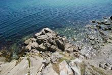 Колко затопляне може да понесе Черно море? 