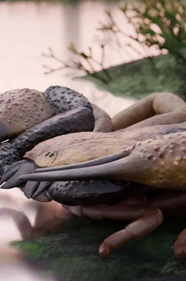 Възстановка на гигантския скорпион Praearcturus gigas, живял преди около 415 милиона години.